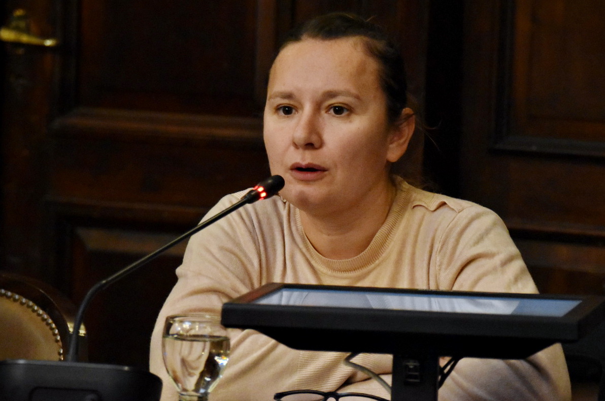 Por Ley, quedan suspendidas las elecciones PASO tanto para 2025  como para 2026
