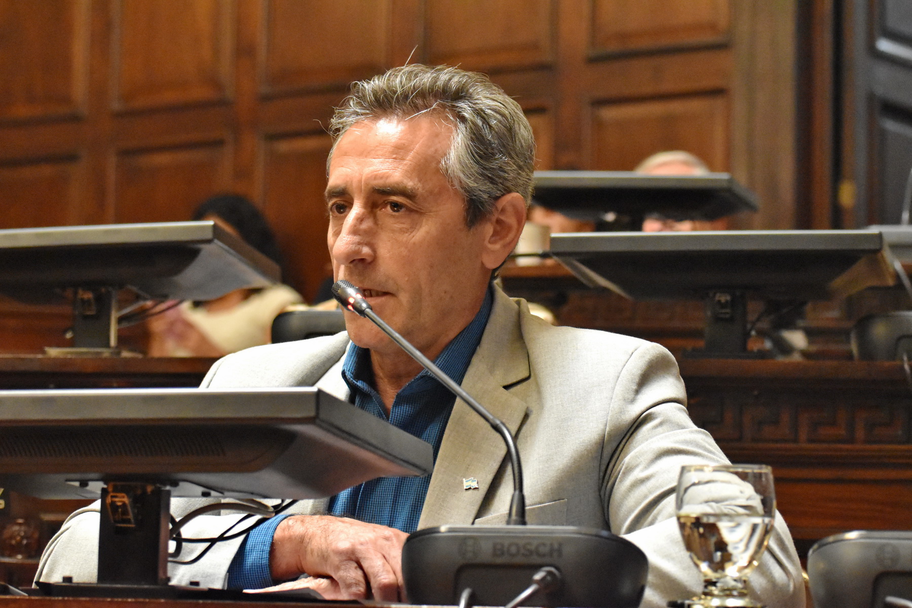 Un proyecto para formalizar la cobertura total de la equinoterapia en Mendoza