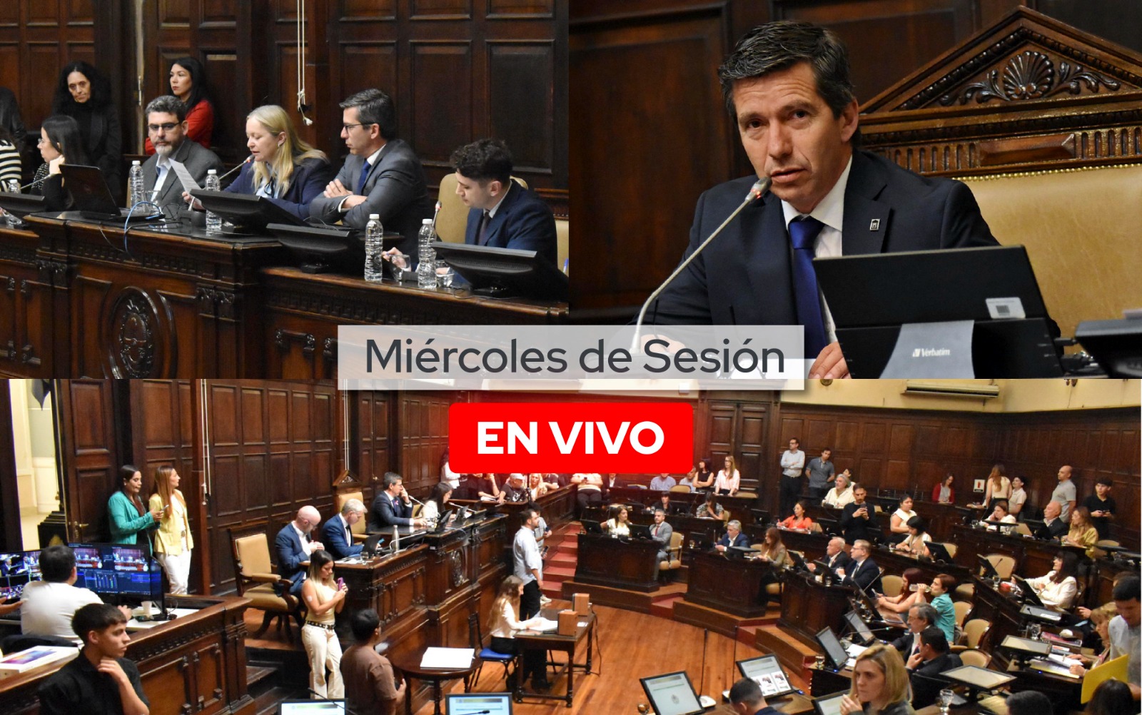 Sesión de Diputados - Miércoles 10 de diciembre 2025