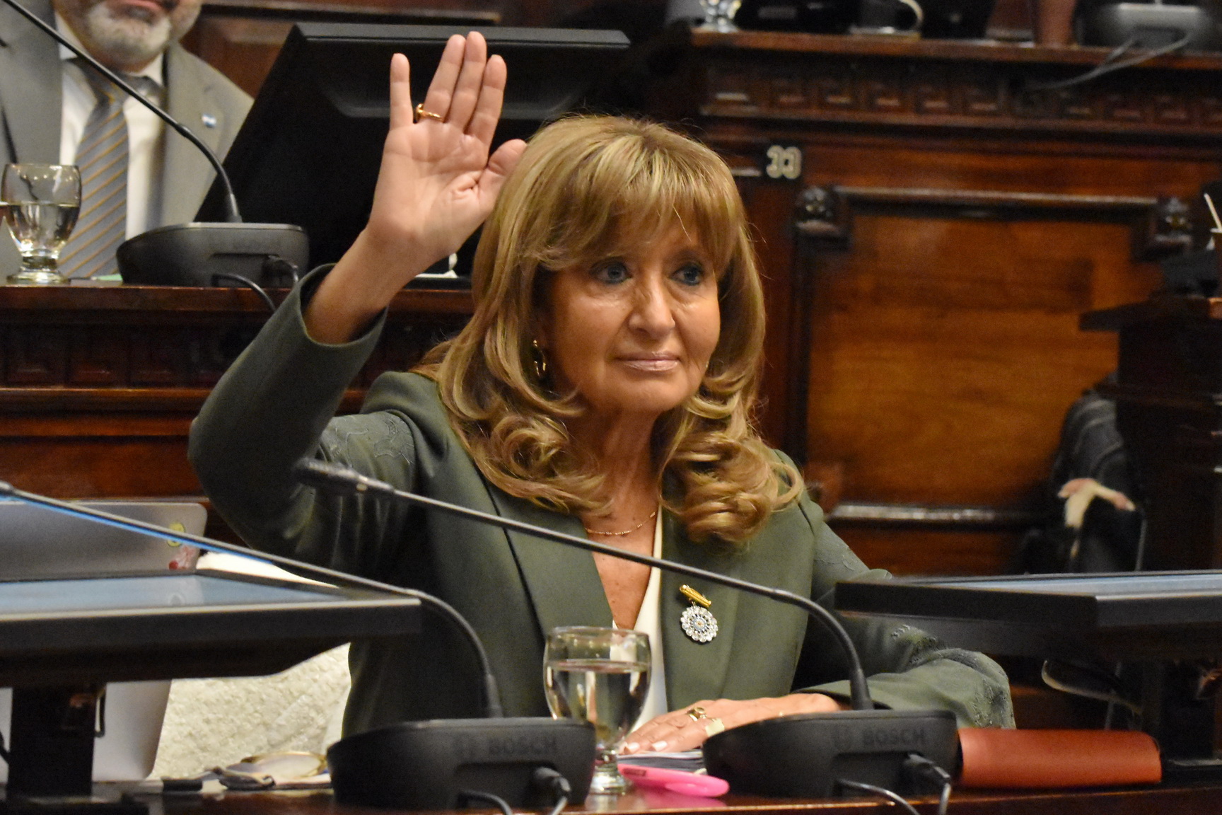 Media sanción al desarrollo del Polo Logístico del Este