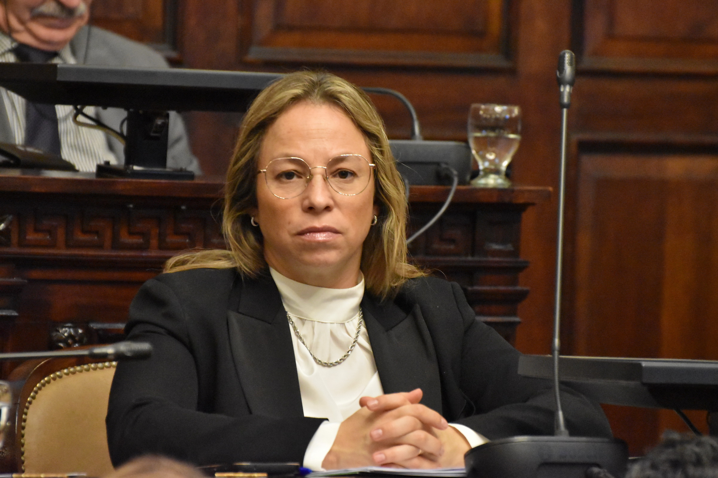 Media Sanción a transferir terrenos de la ex Playa San Agustín al IPV