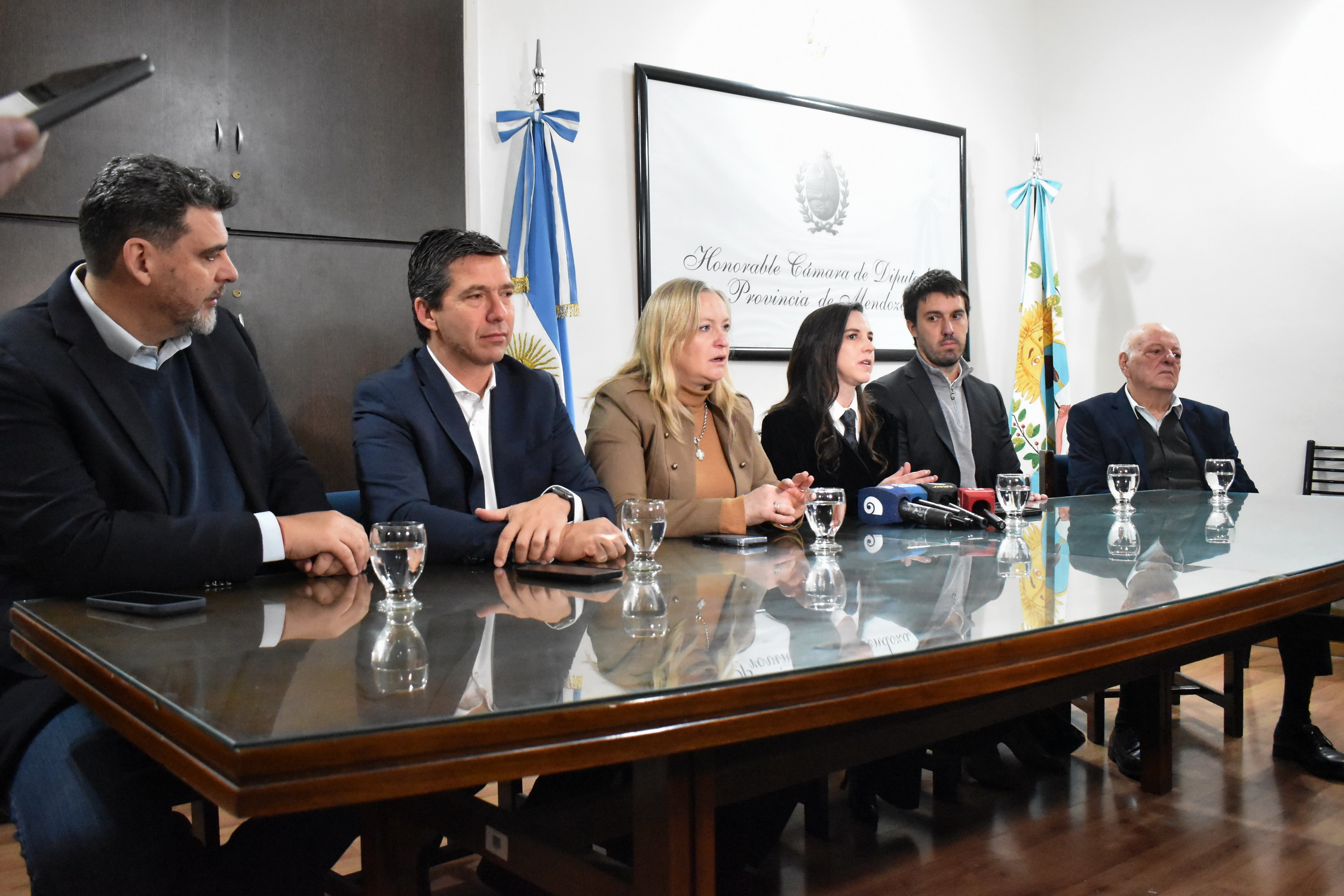 Ingresó a la Legislatura la Ley de Ciberseguridad para proteger la infraestructura digital y los datos de los mendocinos